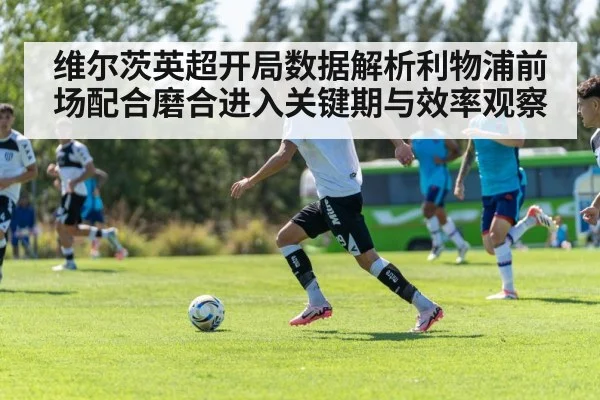 soccer team tactics training